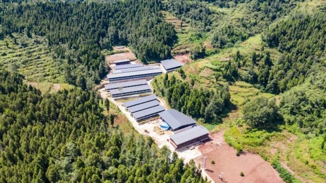 湖州吳興·廣元青川 山海情深，攜手奔康的網(wǎng)絡開發(fā)建設之路