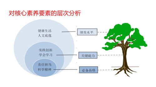 機遇與挑戰(zhàn) 寧夏互聯(lián)網(wǎng)+教育示范區(qū)建設與運營管理探析